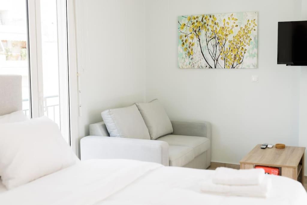 Adorable Sunny Studio With Private Balcony I Athen Eksteriør billede